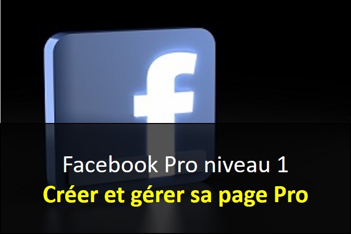 NTIC_FacebookPro_niveau_1