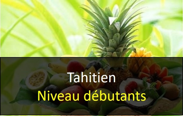 TAH_Niveau_1