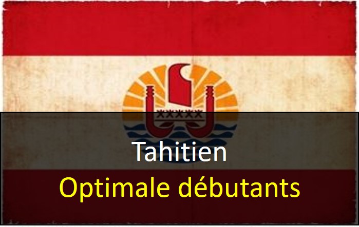 TAH Niveau 1 Optimale