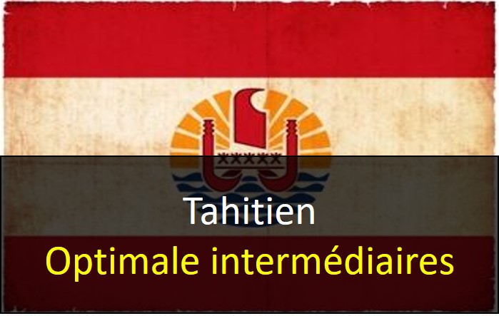 TAH Niveau 2 Optimale